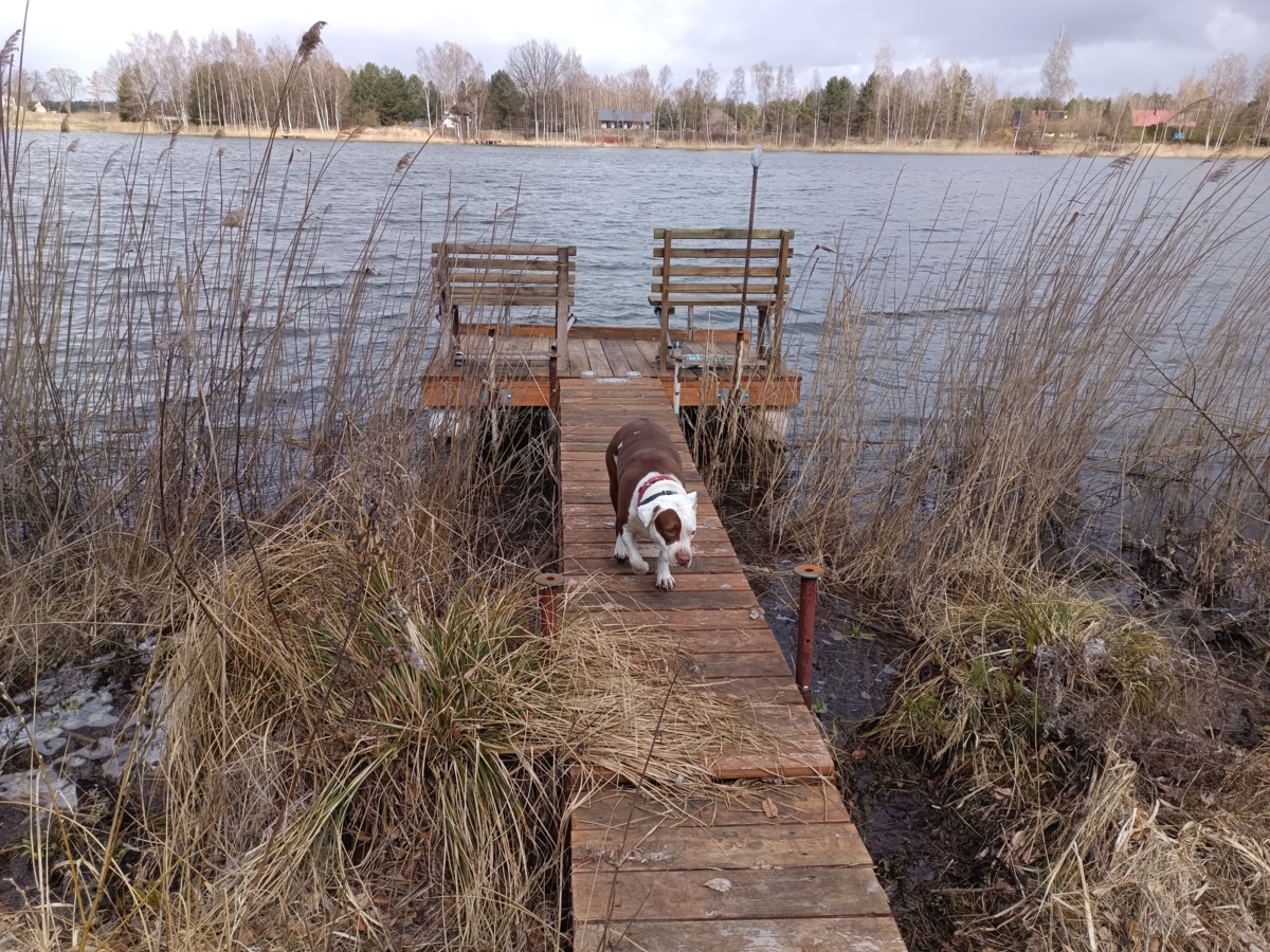 936c5a11-2e45-4292-83d9-59ec928a24bb