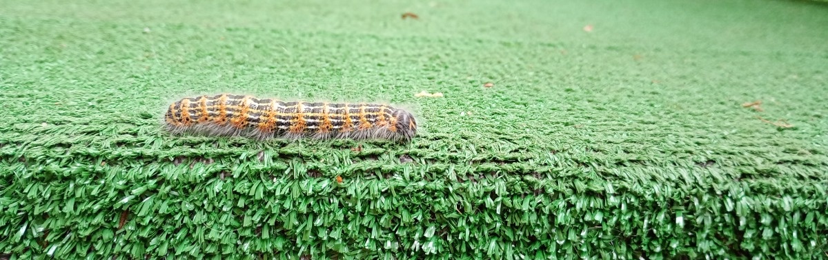 a4522784-2143-4f9b-9779-c20521c380fb