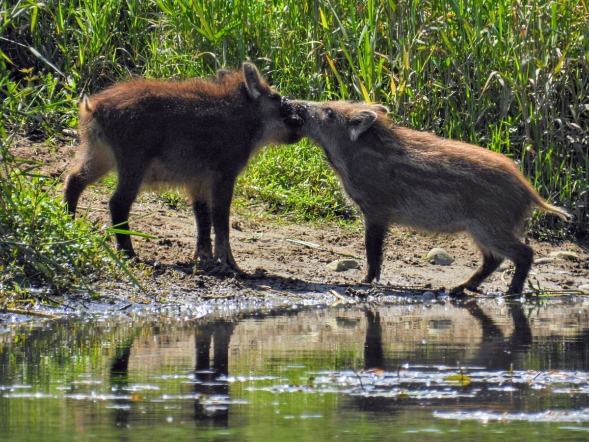 7d52776f-9e3d-4911-ba22-c886ee2fa4d5