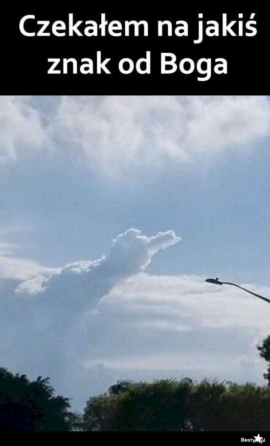 ab87734f-ad14-4331-9e59-9e260d9ef536