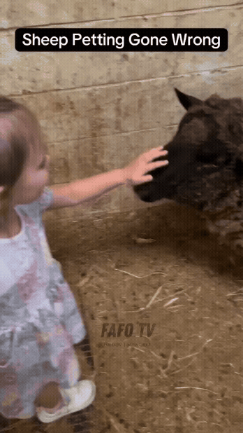 6fc61923-be8f-4153-9991-927790b23dda