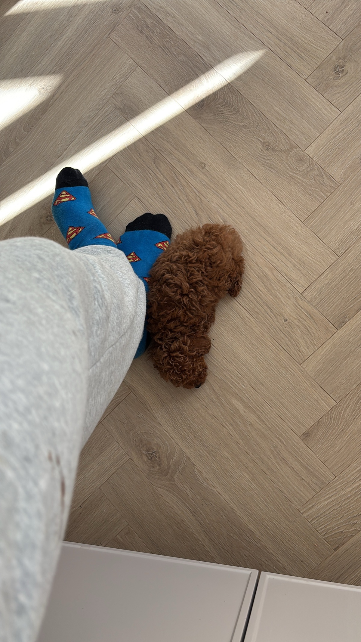 b7ddd752-33c3-43c2-8abb-df5dbf69b85e