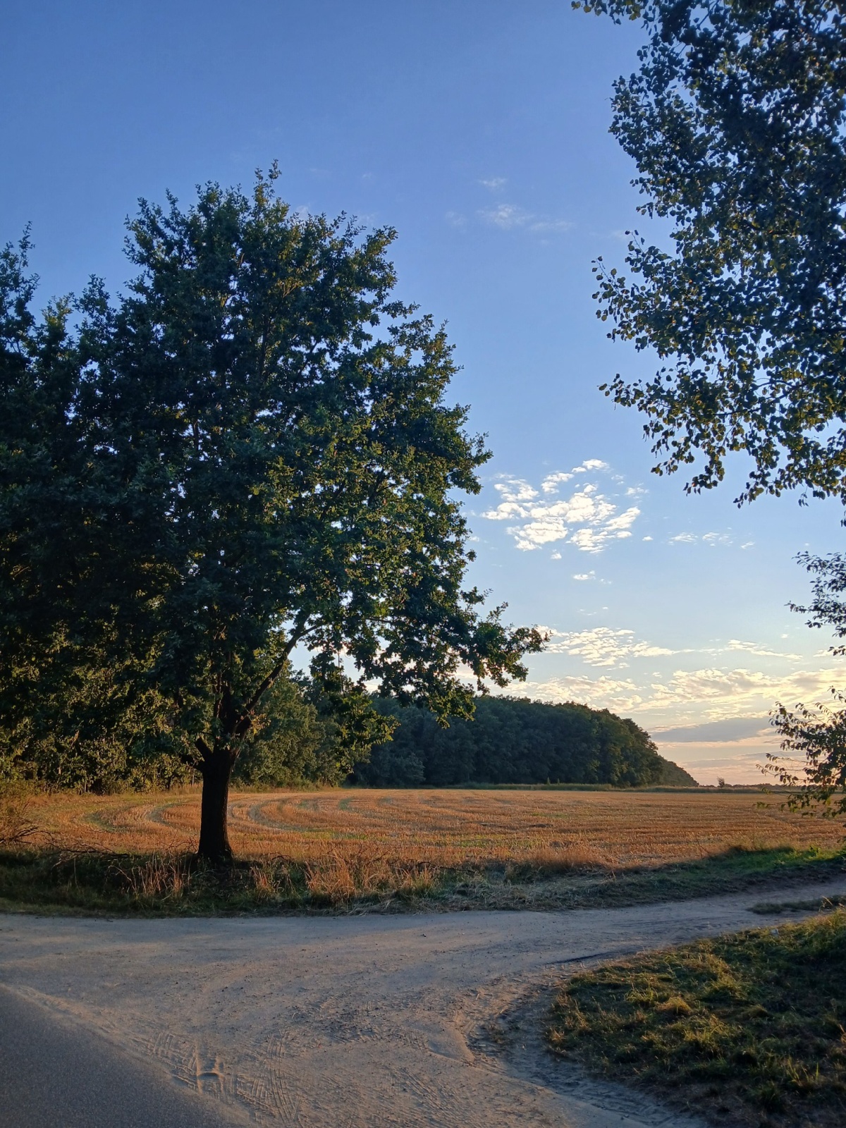 0a72d639-3d8f-4885-b6ea-355c766b2a08