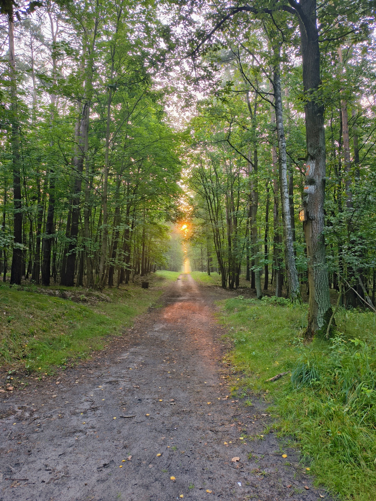 f52482c1-1ebc-4710-a63b-b14314091882