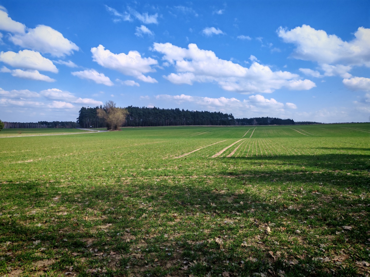 0dde60e6-731e-4d1d-9a7e-51e7aa1ba6be