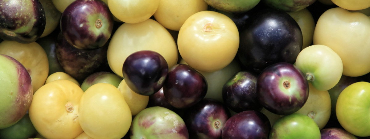 dc64dd26-c26f-4665-a40b-4416f00ce6c3