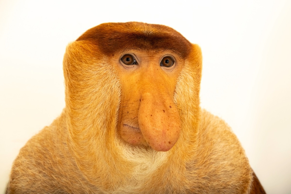 006d42d0-f0b2-4a2f-834a-da5c87007844