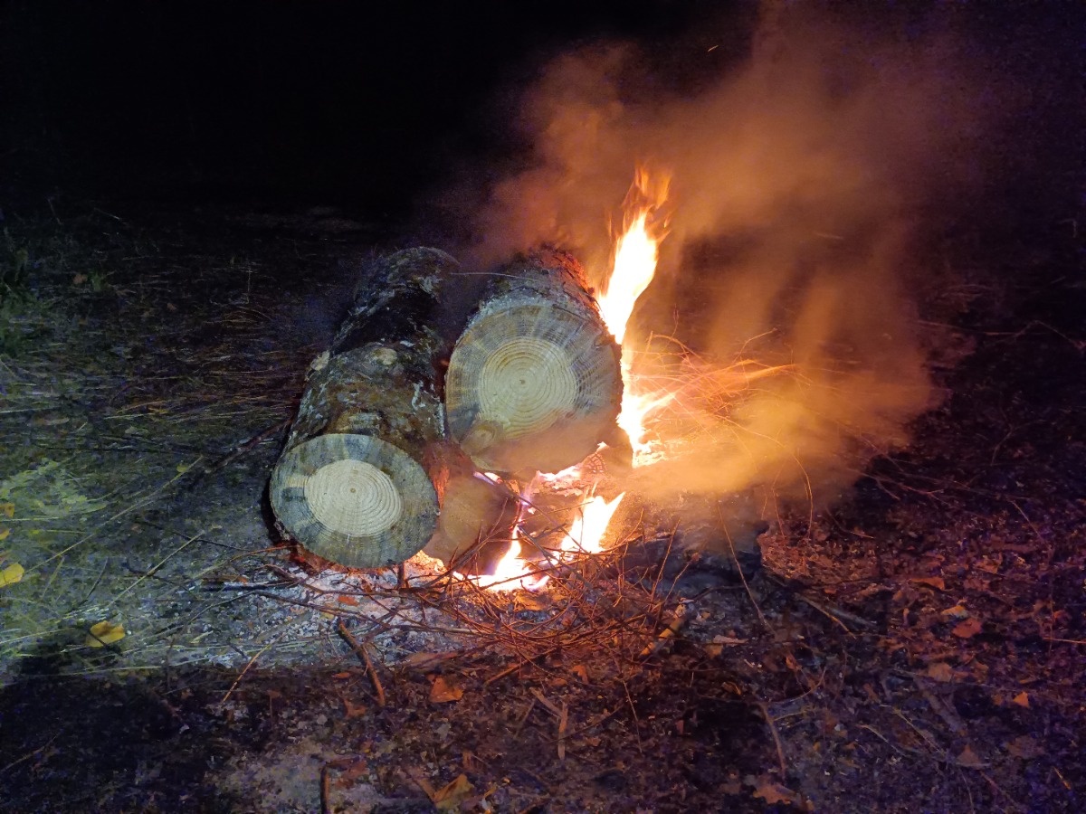 68430dd2-d025-4fa7-b642-48d3dae9582b