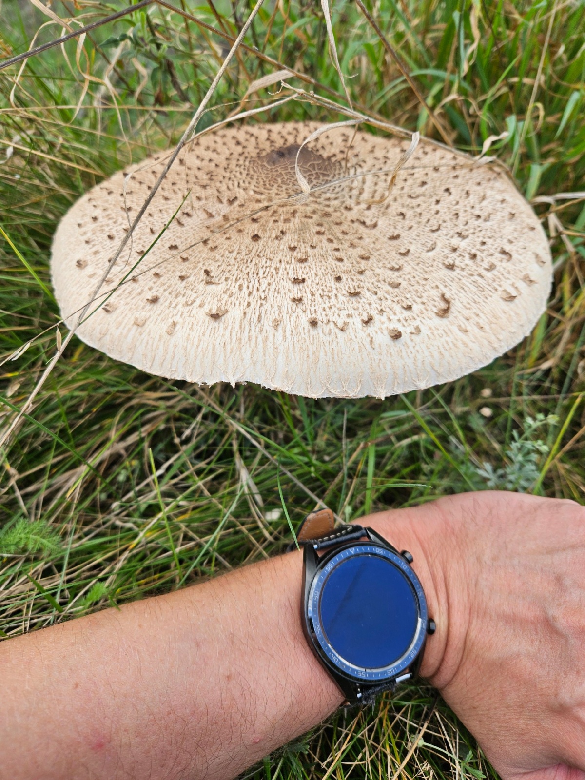 b2d5051f-9a4e-4263-bf81-4fb80d003b1c