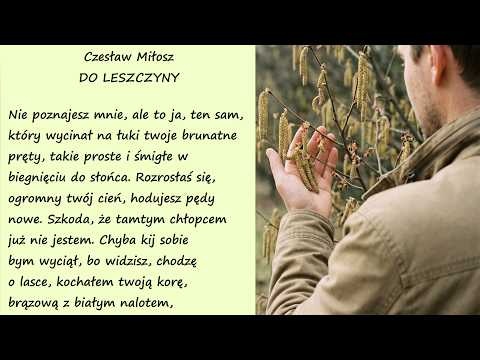 Do Leszczyny Czesław Miłosz Poezje Wiersze | Poezja Dla Duszy