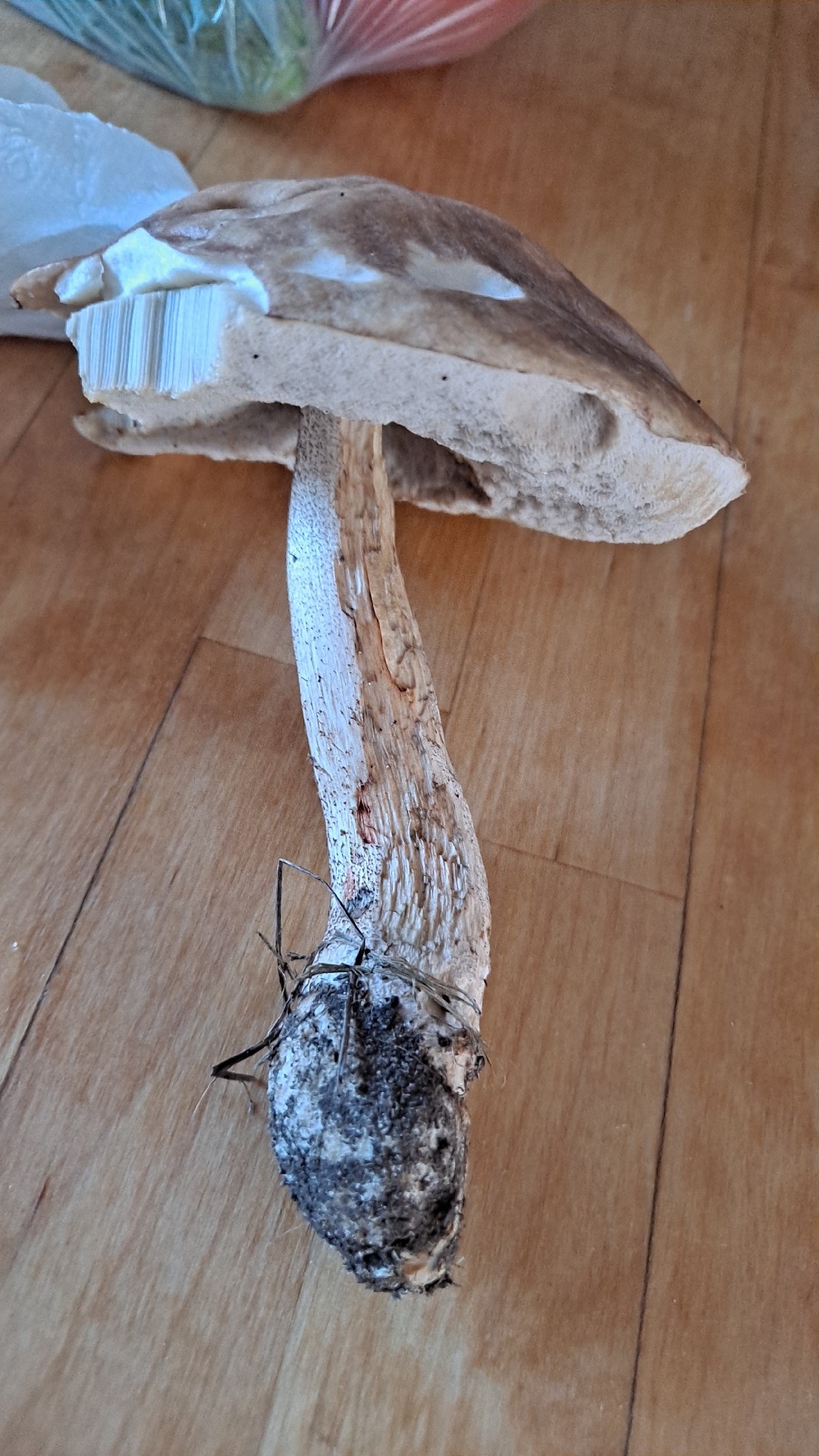 27e5317d-3848-4403-bcc6-da2a8a158254