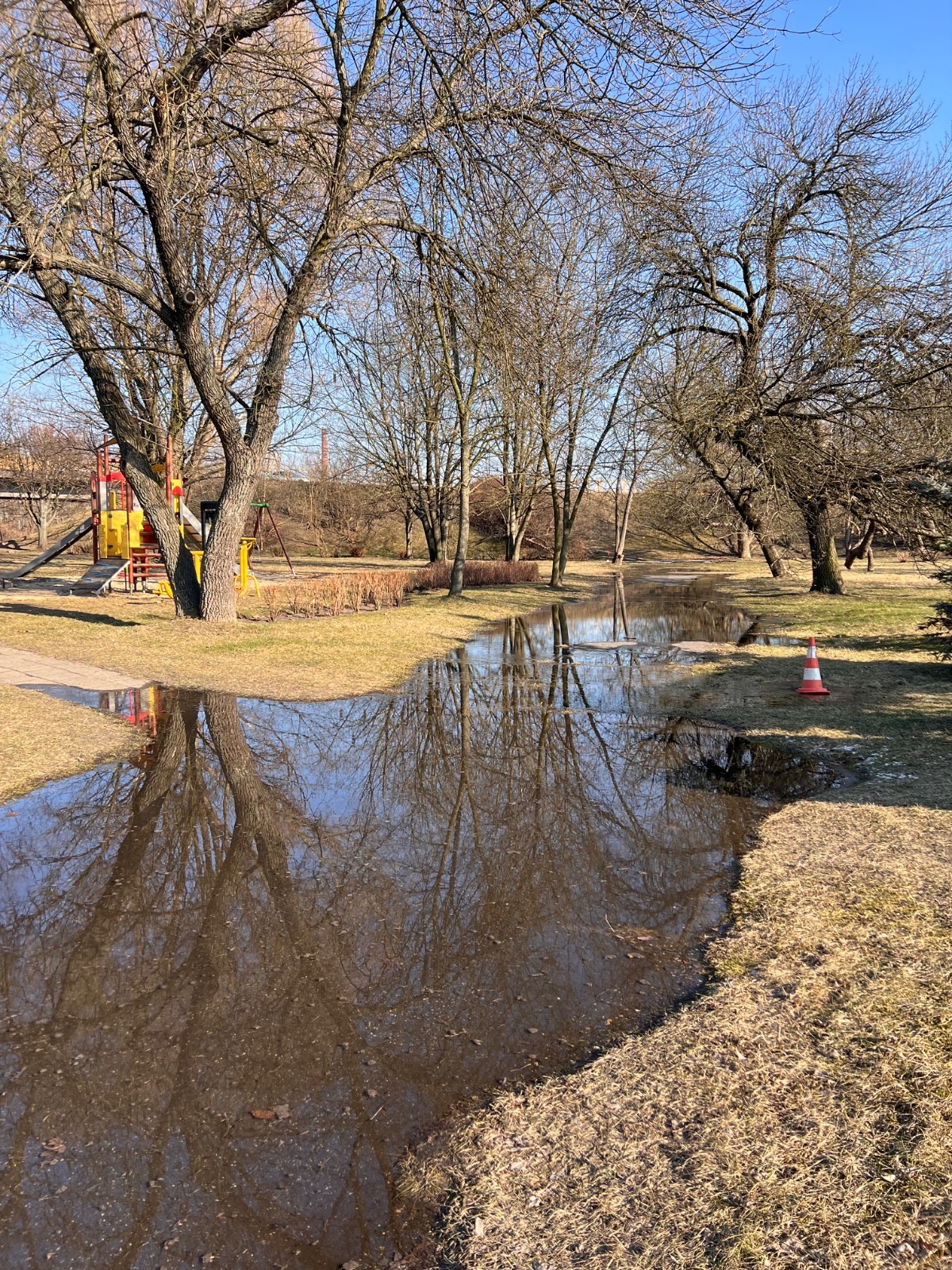 b0cafe30-188e-4bc8-9fd9-ac7a967c2e29