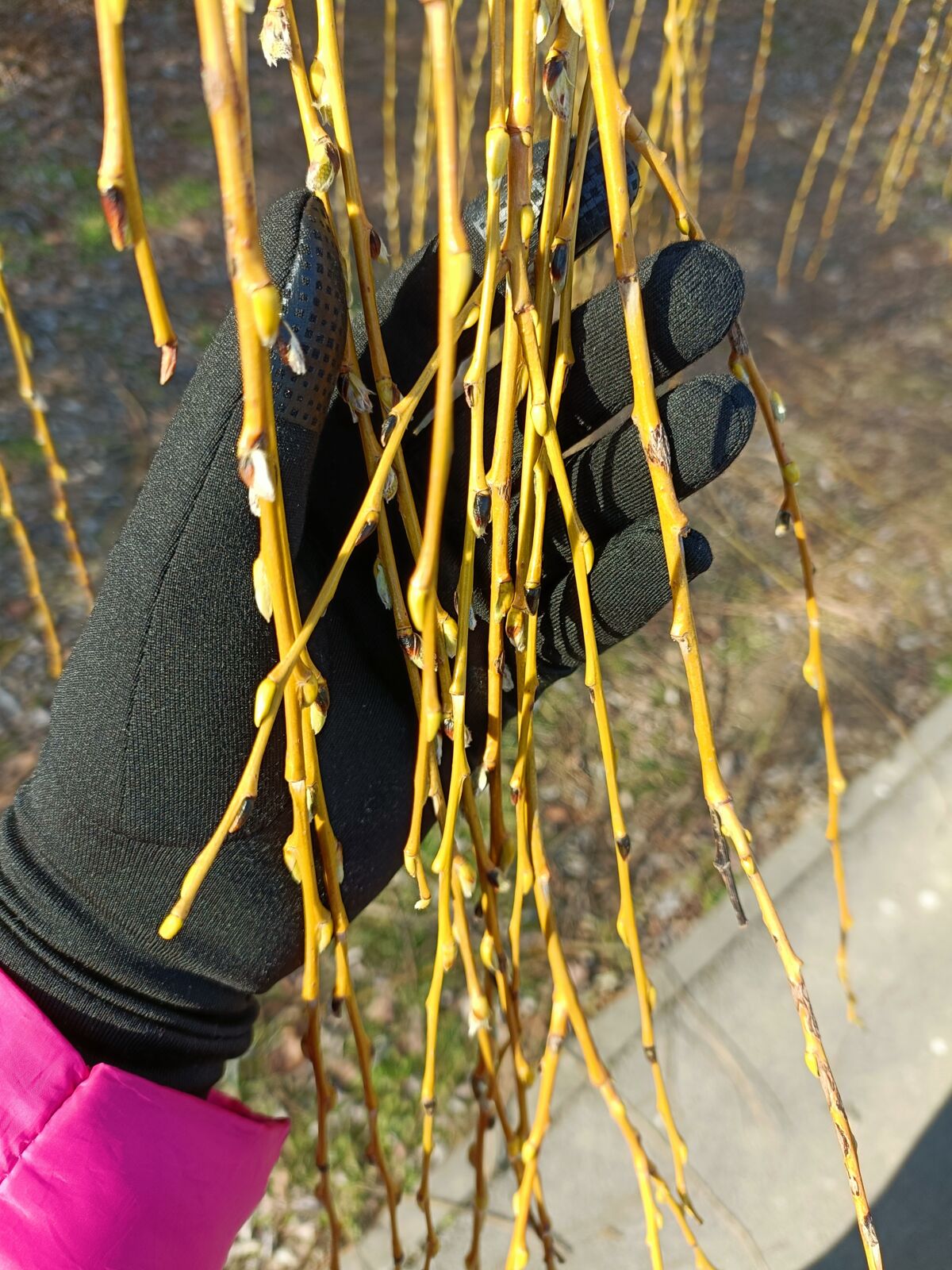 739a27ce-f352-4e3d-ba09-05f0aa432391