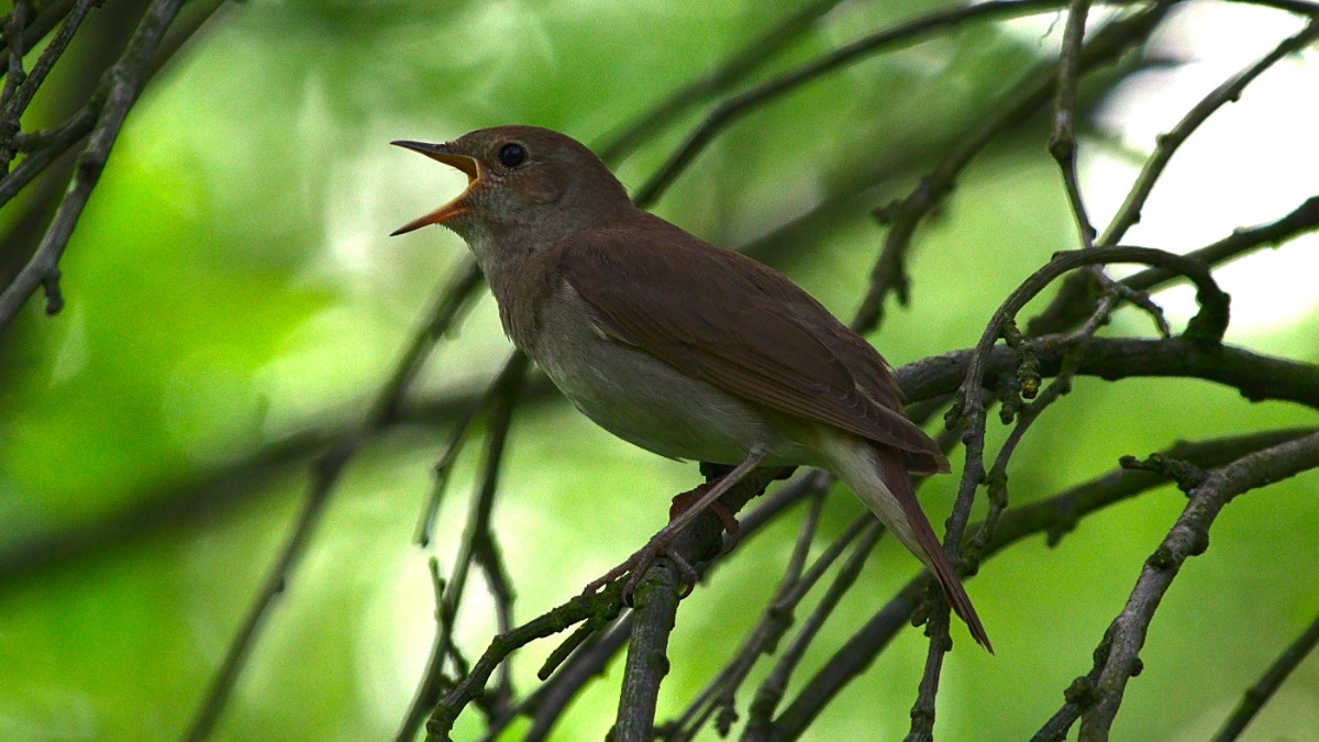 272a168c-7a42-49a4-8cd9-c9ad7361087c