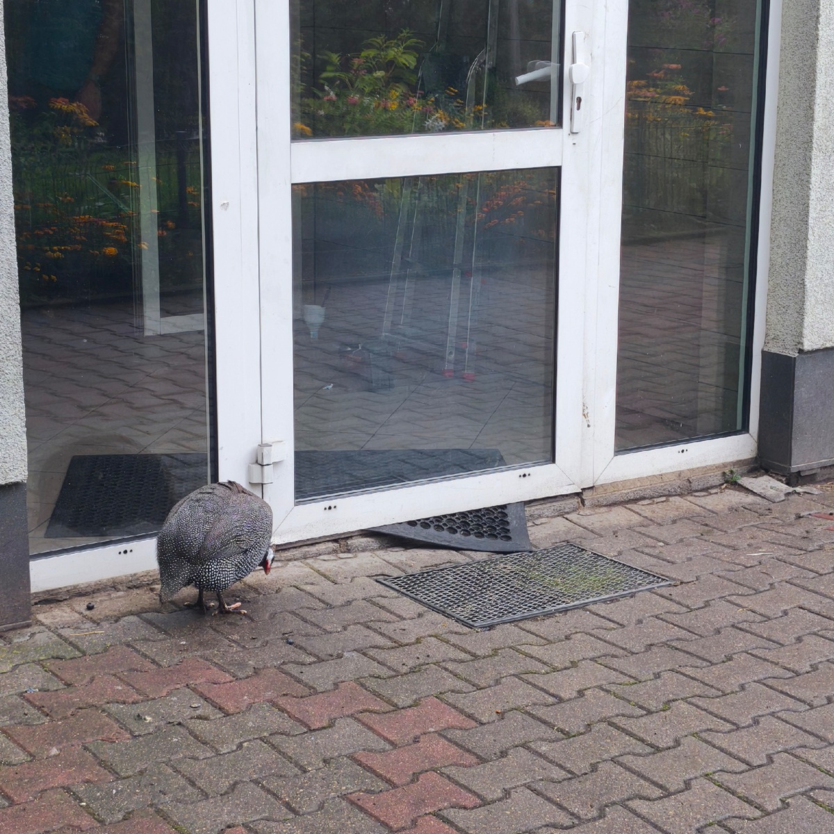 ae09284d-7a96-4079-b1ad-ea1ee56fc797