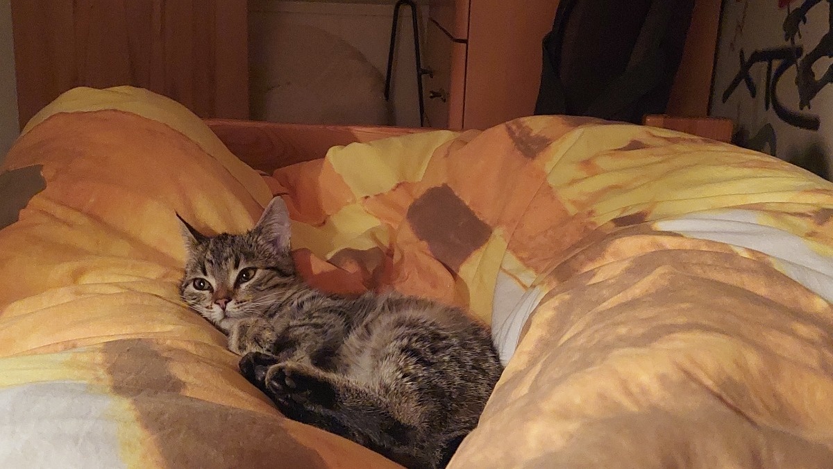 039e2f1f-bb15-445b-94e7-dfc3a9bf2c2e