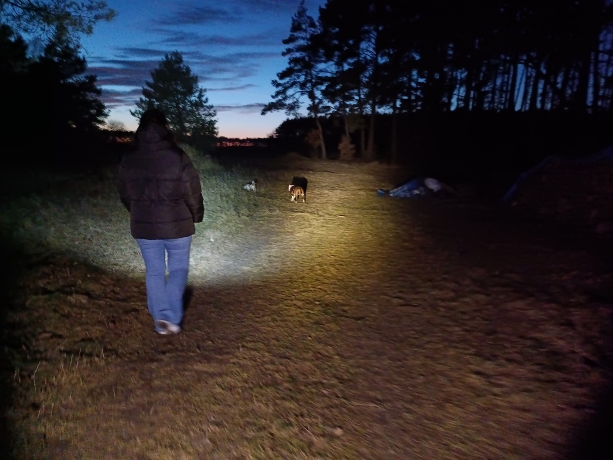 f8806703-2f19-48ed-a341-56d446a4269d