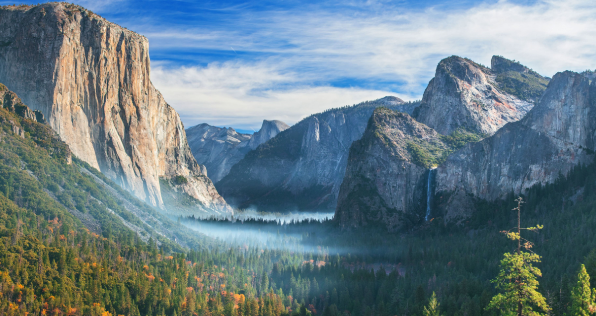 09293fd5-d4ed-45c6-a5dd-1ad7e4dbdf8c