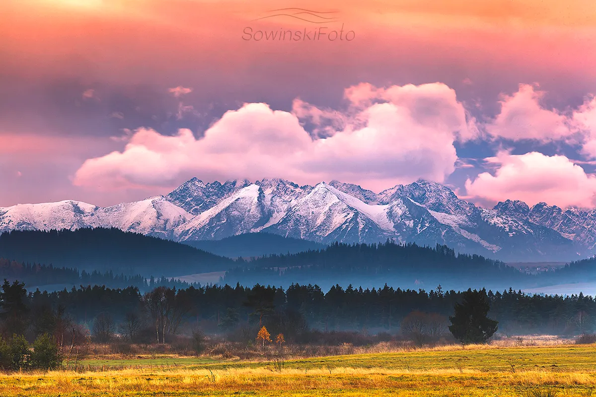 3d9dc442-247f-415f-99af-9cee05b073f6