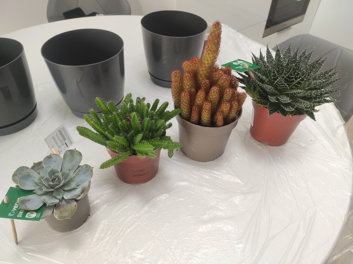 0a08adf5-eab9-46f1-8f88-e66a2cd90e4a