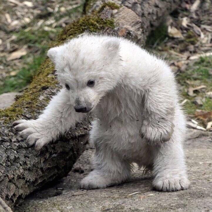 bd470444-27c4-4420-a852-5c04048b77a2