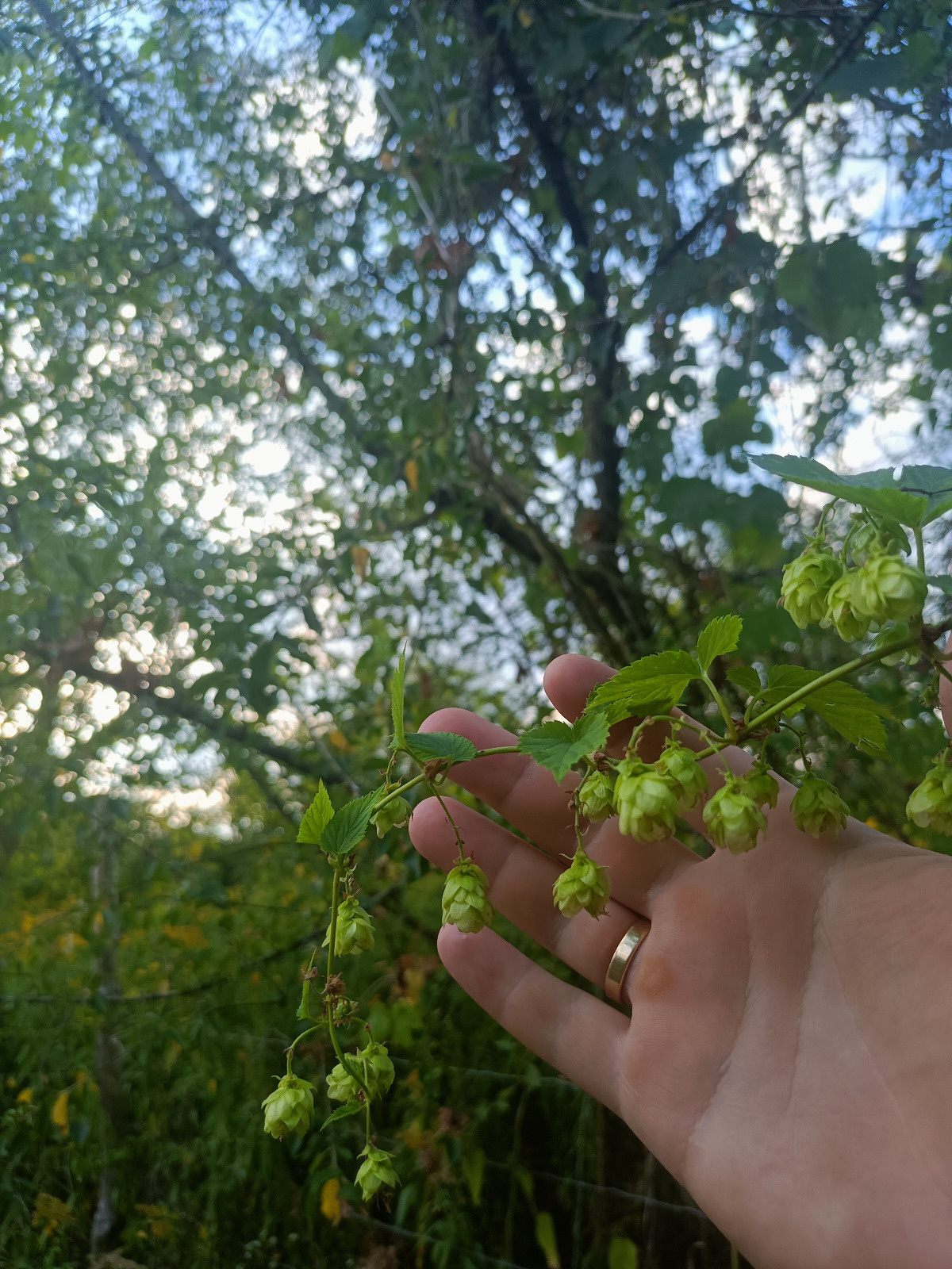 e8bcb6b5-9a7e-4eea-8a7a-fa2892163de9