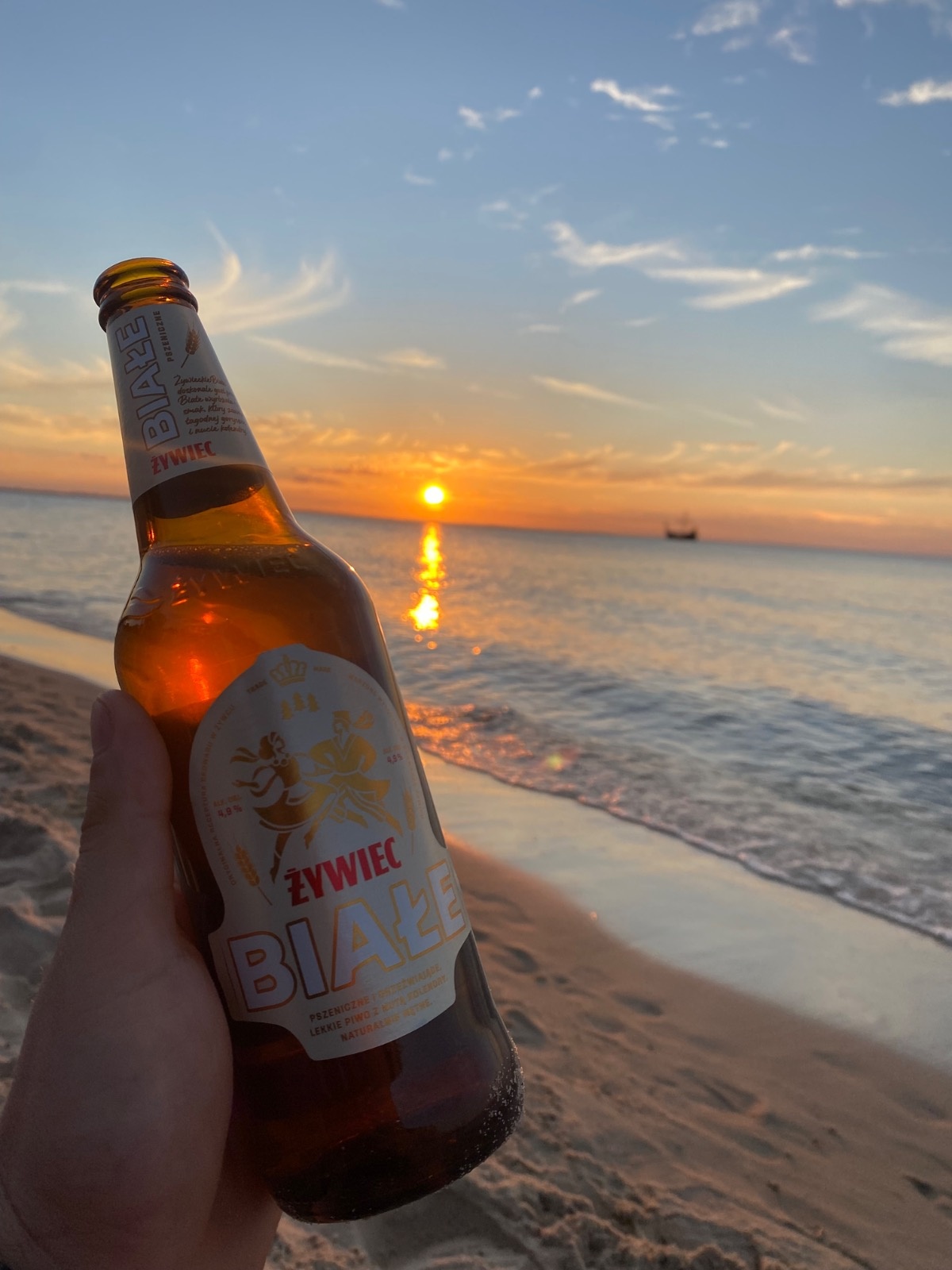 97c1c9f9-deea-43e7-9228-eb269294b88e