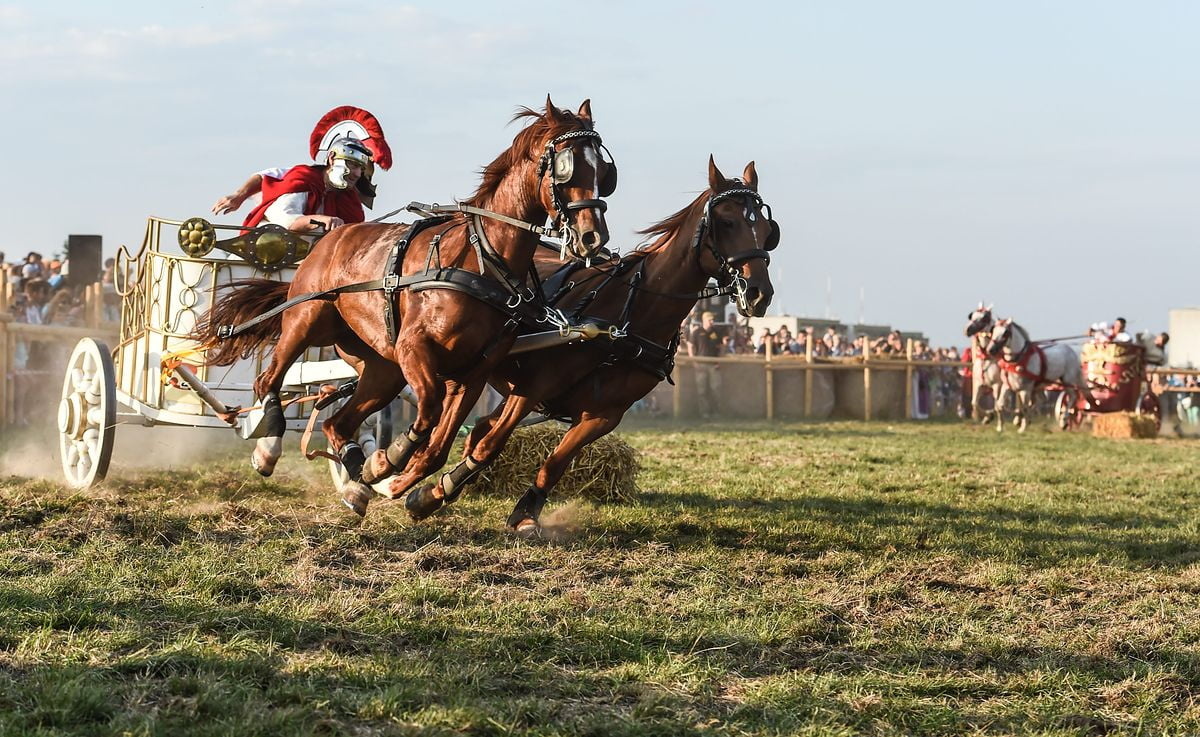 e395b01d-5e79-42bc-a883-fa954d82cc95