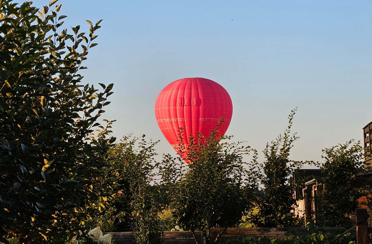 586887fd-ac6a-42c0-a477-086050a2f8a1