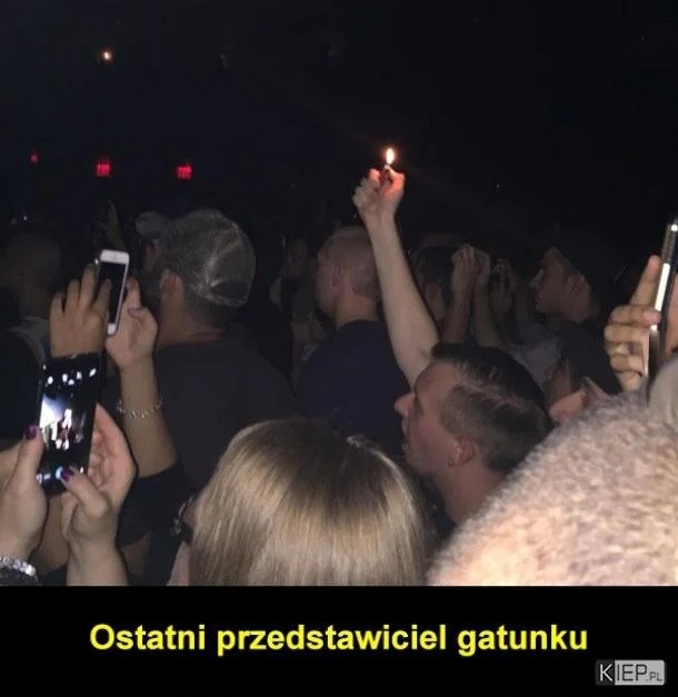 56528458-46f9-48a9-a2ef-19f9d6017d50