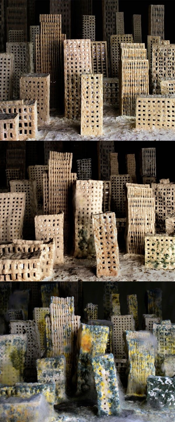 b7aa491a-fd28-4d06-bfe8-bfa93f85d583