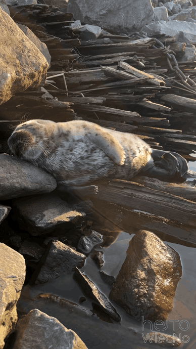 7d21a8a4-abb0-48e1-8c10-0f6d7174274e