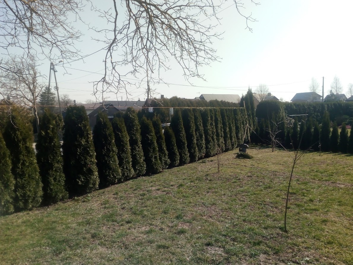 a5e2c534-8ec2-4a17-9d4f-30476778379c