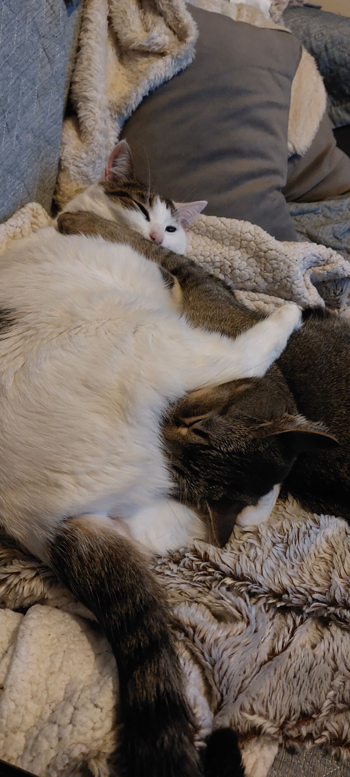 de52f5c0-5224-4189-88b1-e0e82ca62a69