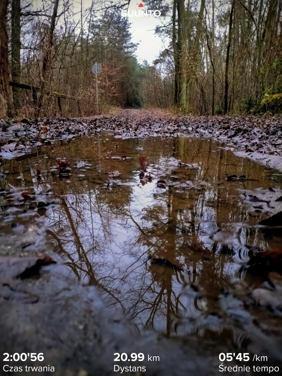 5340d9e5-8982-4c3d-ae59-4ddf3665fd73