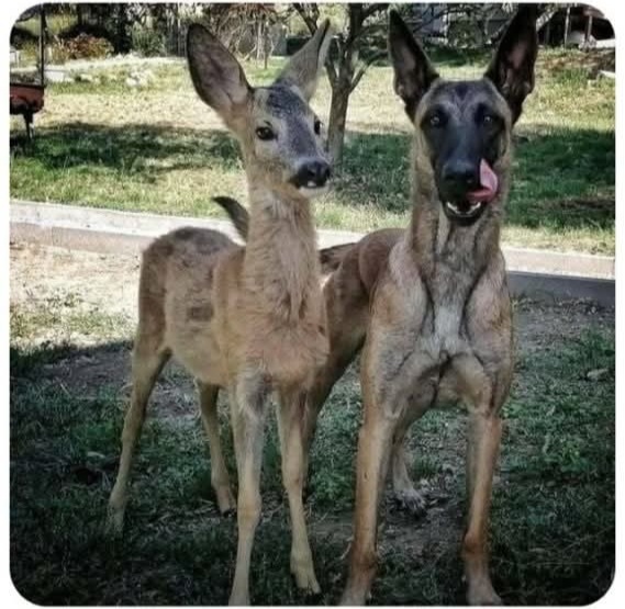 13755a0d-f4be-4c14-80cb-bc732c56fbf3