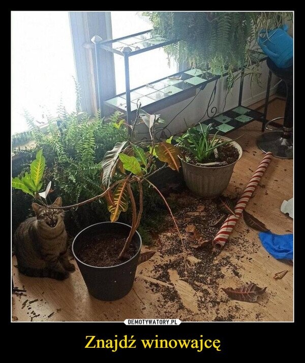 fdaf25a4-3590-4171-955f-cd569ffc9226