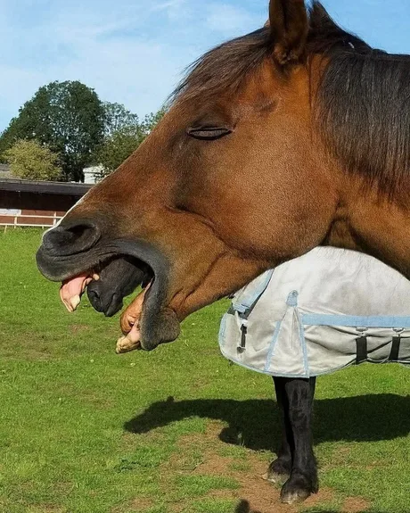 bd710a91-d8bc-43b4-887f-483a394ca0cc