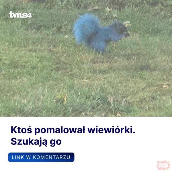 217e1ae0-be1c-46f1-9bae-9833c6dd4e88