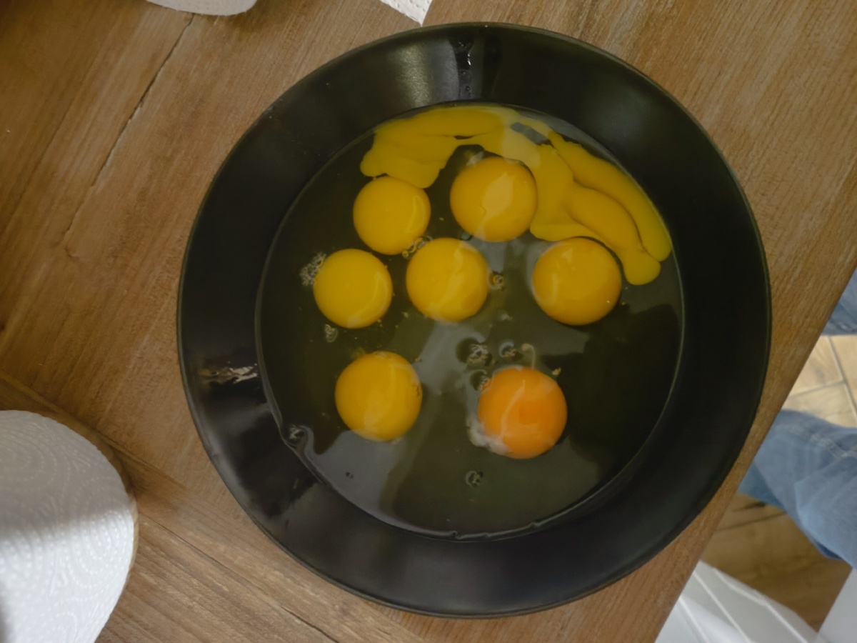 f58380fa-6e32-4d67-823a-32858a90d20f