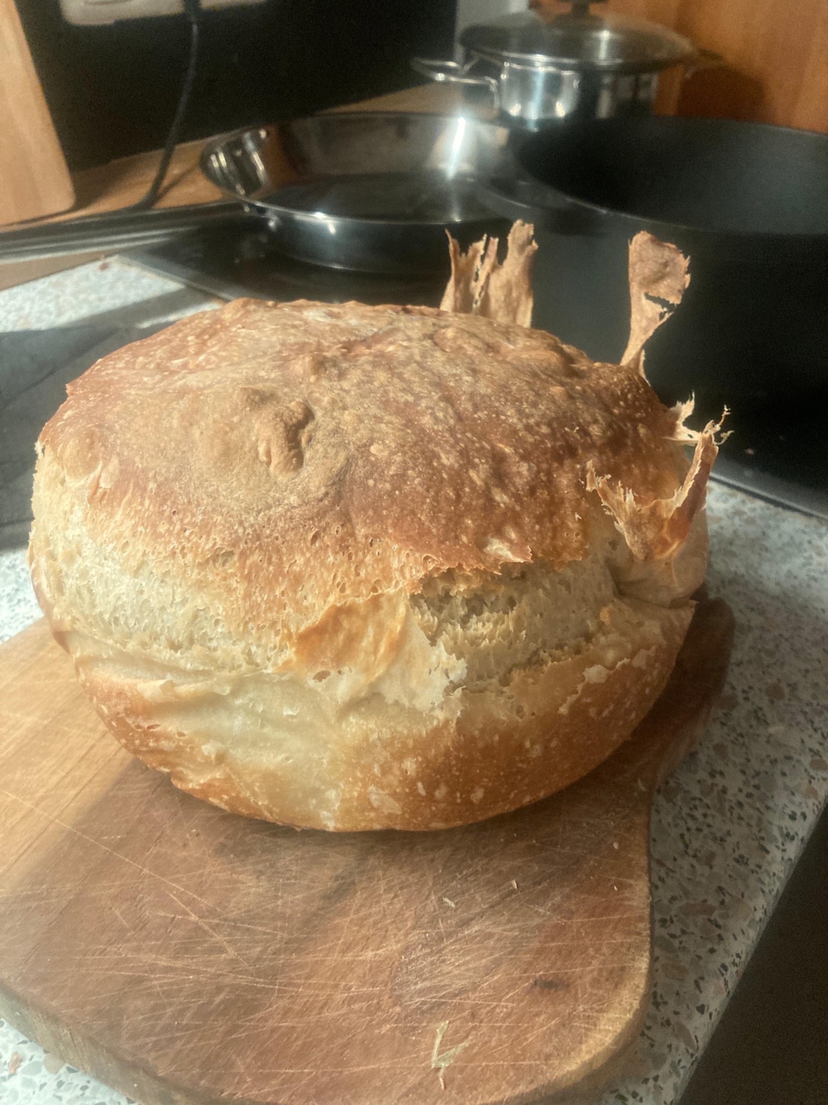 d73fa649-b379-4159-93a0-693d2dd06dd1