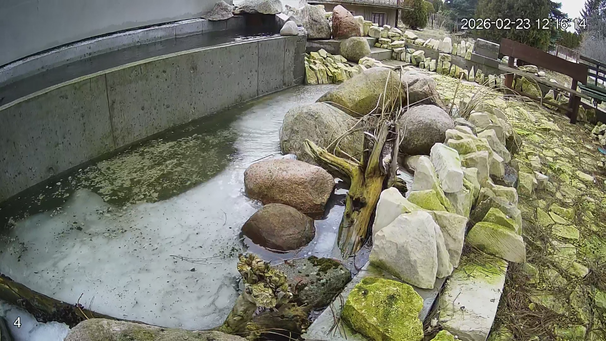 ef9183ba-93d2-4653-a1ed-7afaa70e4c2c