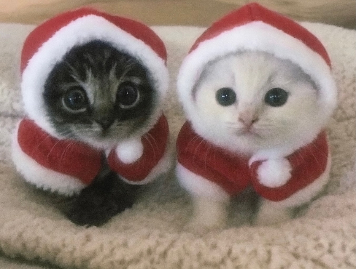 dd52d95a-e2db-4c2b-a215-6f645e50e5d9