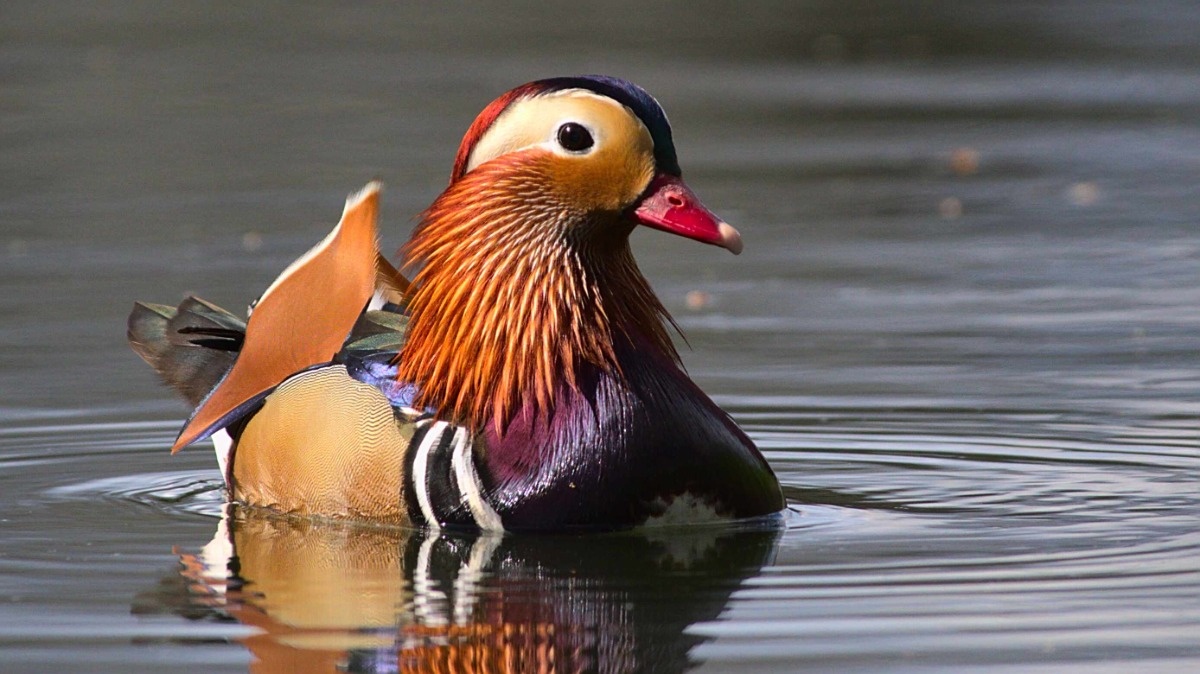 7d9eeebe-3f2d-4637-bc9a-bbee3617f16e