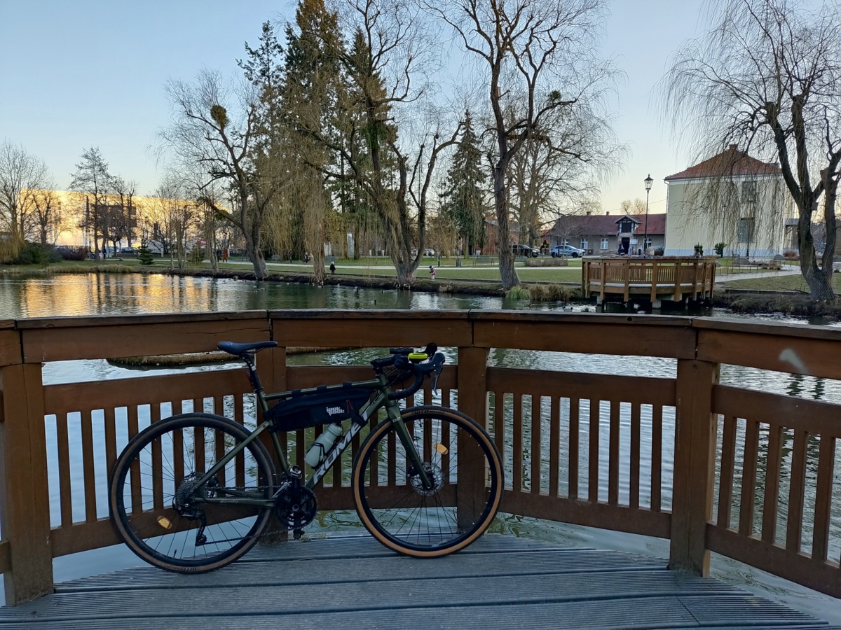 54458532-f435-4cf6-8ced-a91fb44c61d2