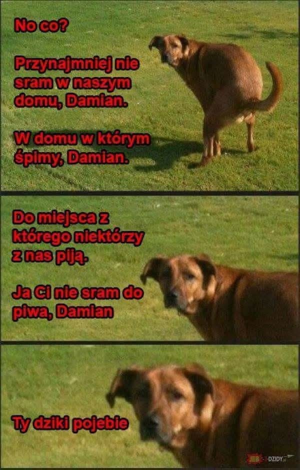 fed75fbc-81f4-410e-bc38-b72737a9a107