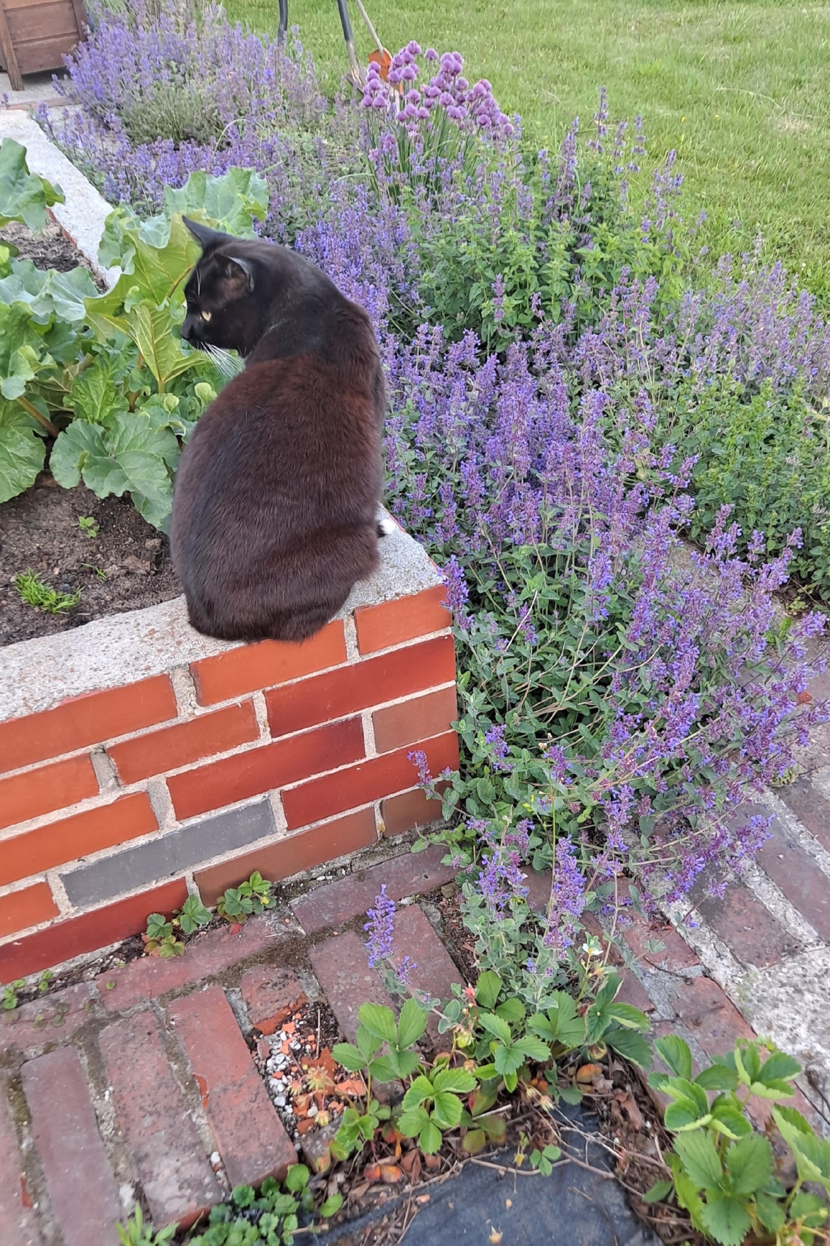 d2d0f431-9b04-4a67-aa08-e7336ce8a5ea