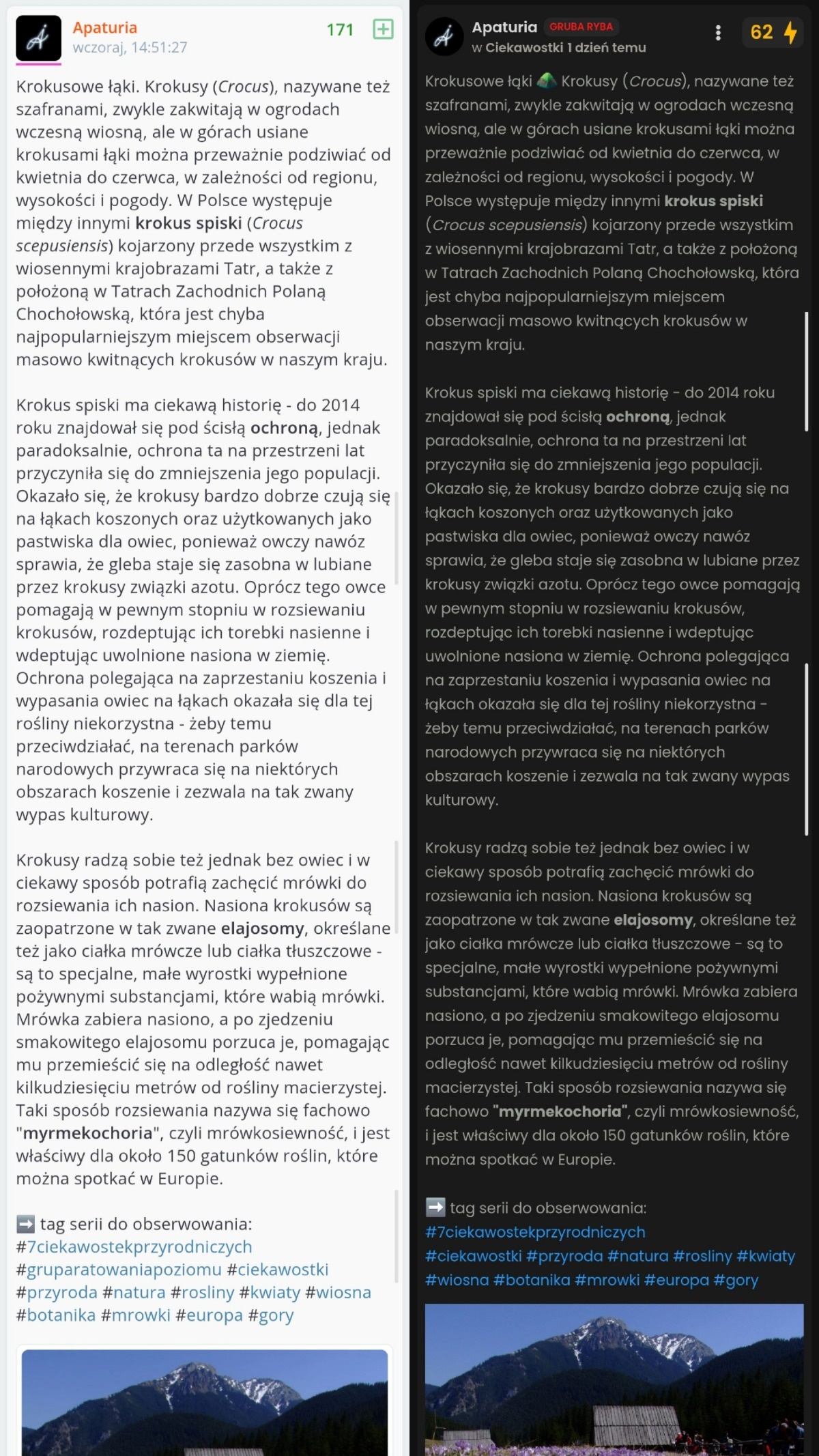 8f185c48-2077-46c1-bd1a-d8c354e11c2a