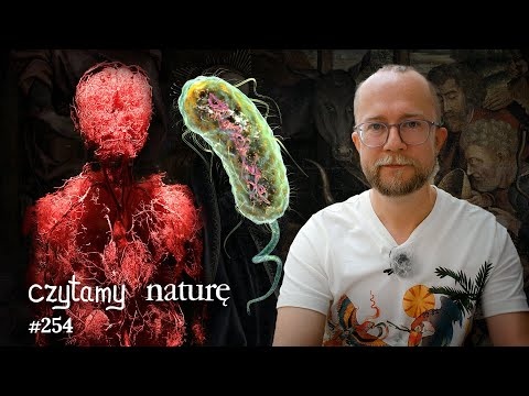 Żyłki w sztucznym sercu - Bakterie-drapieżniki - Renowacja obrazów naklejkami | Czytamy naturę 254