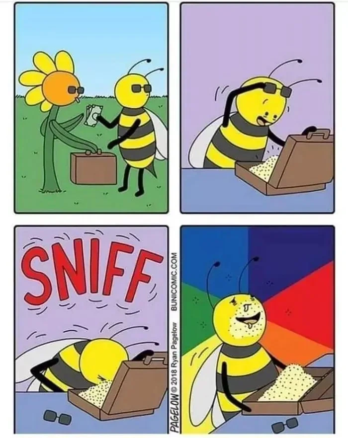 fb8f964f-4374-46c0-9b94-e75b7ab633f9